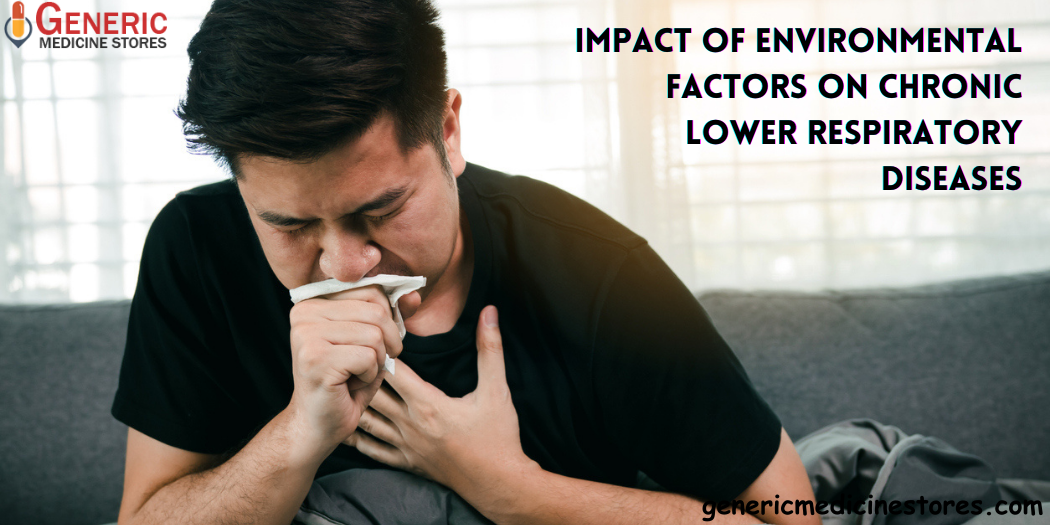 Impact of Environmental Factors on Chronic Lower Respiratory Diseases